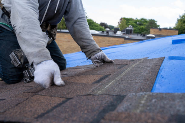 Best Best Roofing Contractors  in Rose Hill, KS